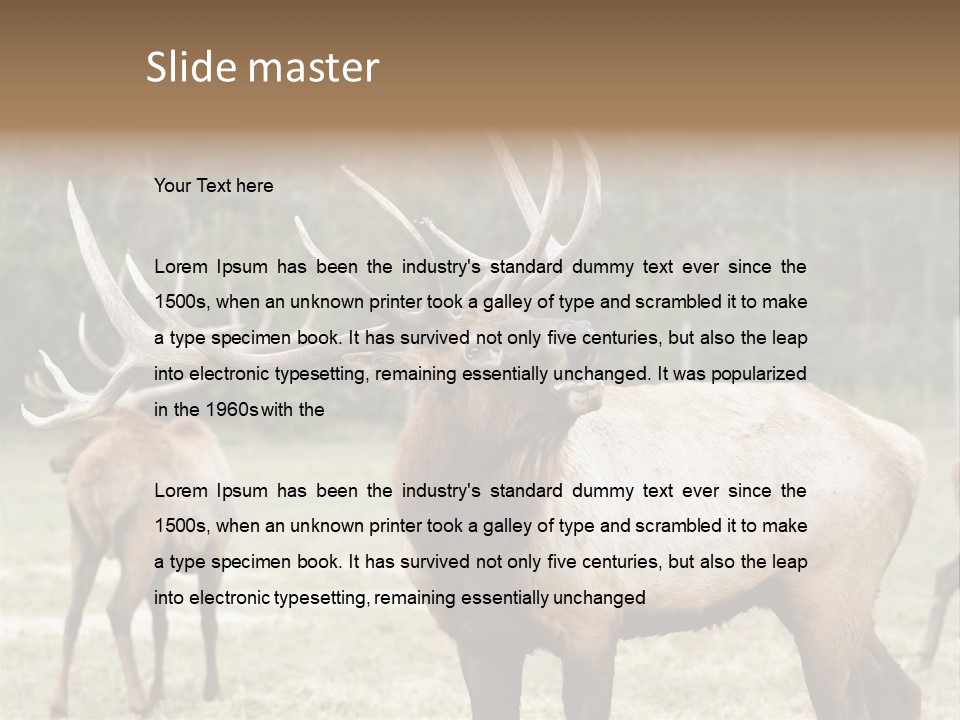 Caribou Elk Wapiti PowerPoint Template