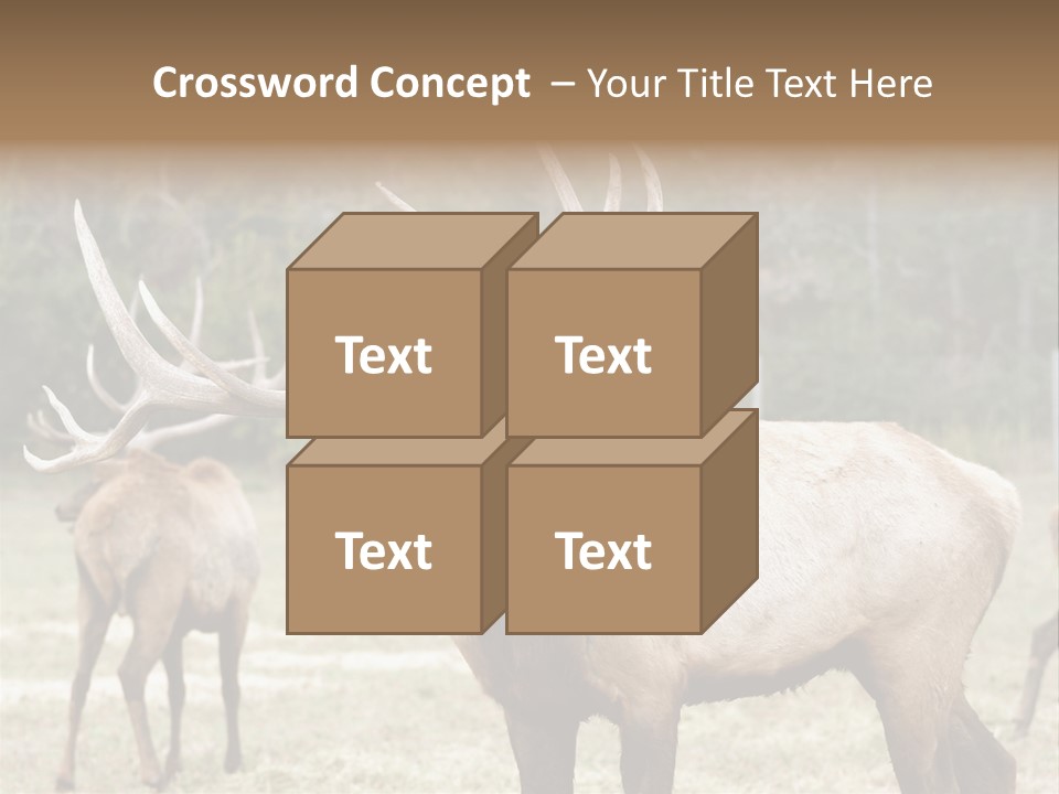 Caribou Elk Wapiti PowerPoint Template