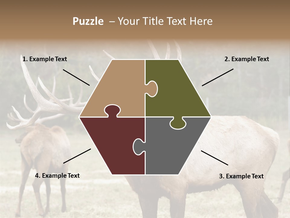 Caribou Elk Wapiti PowerPoint Template