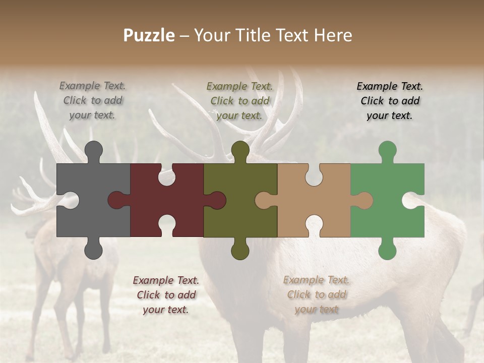 Caribou Elk Wapiti PowerPoint Template