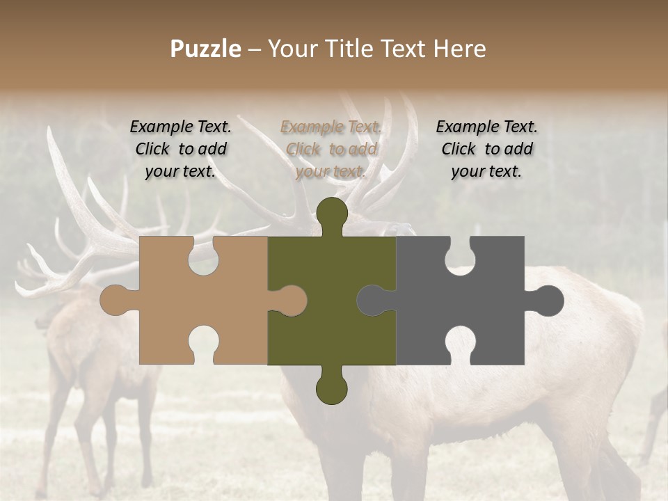 Caribou Elk Wapiti PowerPoint Template