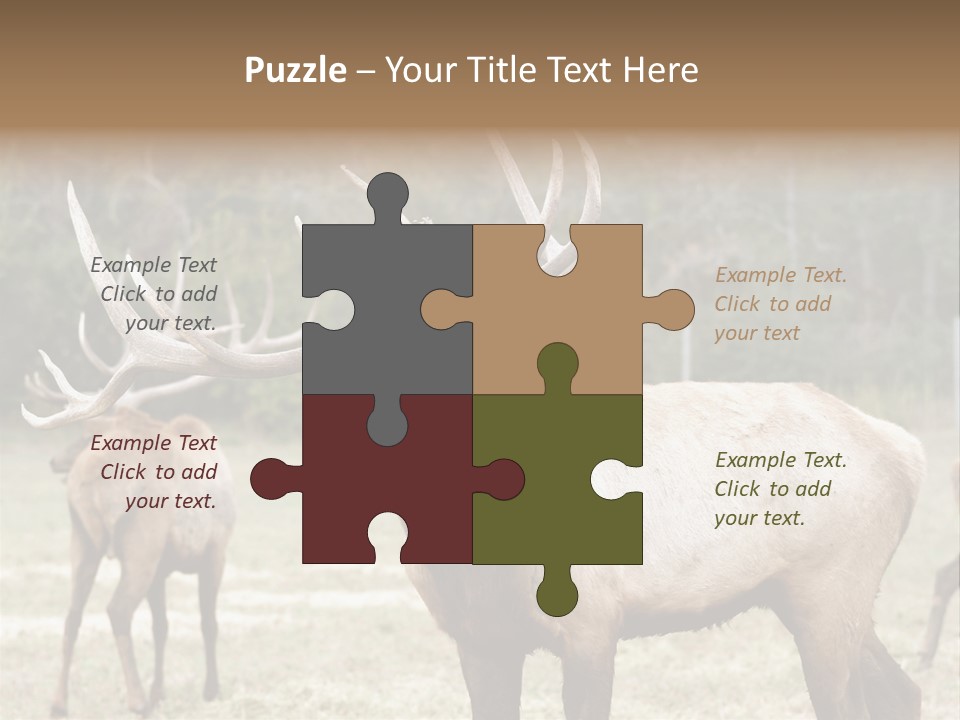 Caribou Elk Wapiti PowerPoint Template
