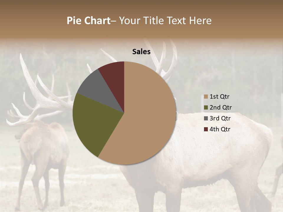 Caribou Elk Wapiti PowerPoint Template