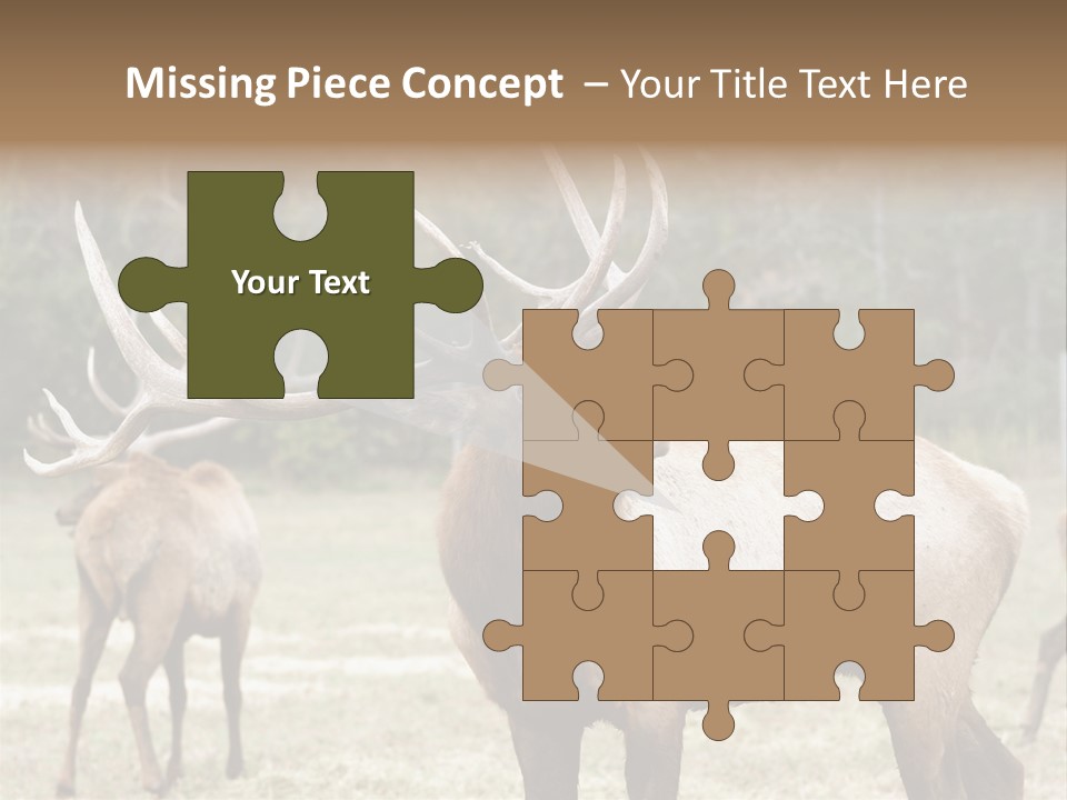 Caribou Elk Wapiti PowerPoint Template