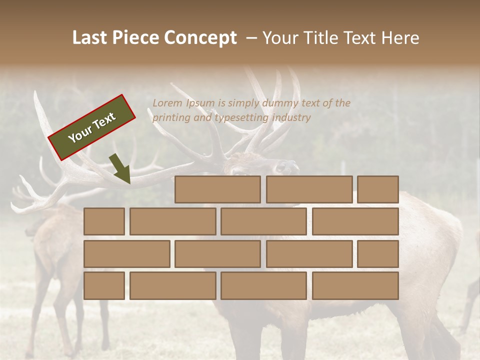 Caribou Elk Wapiti PowerPoint Template
