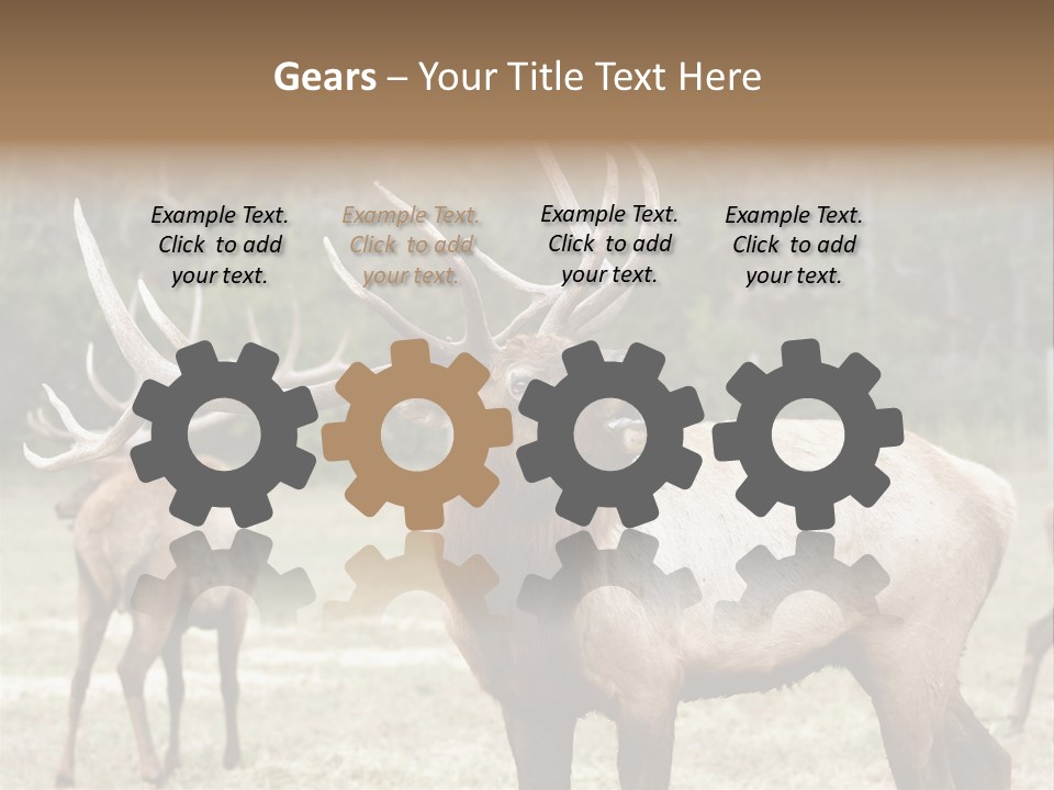 Caribou Elk Wapiti PowerPoint Template