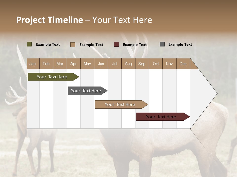 Caribou Elk Wapiti PowerPoint Template