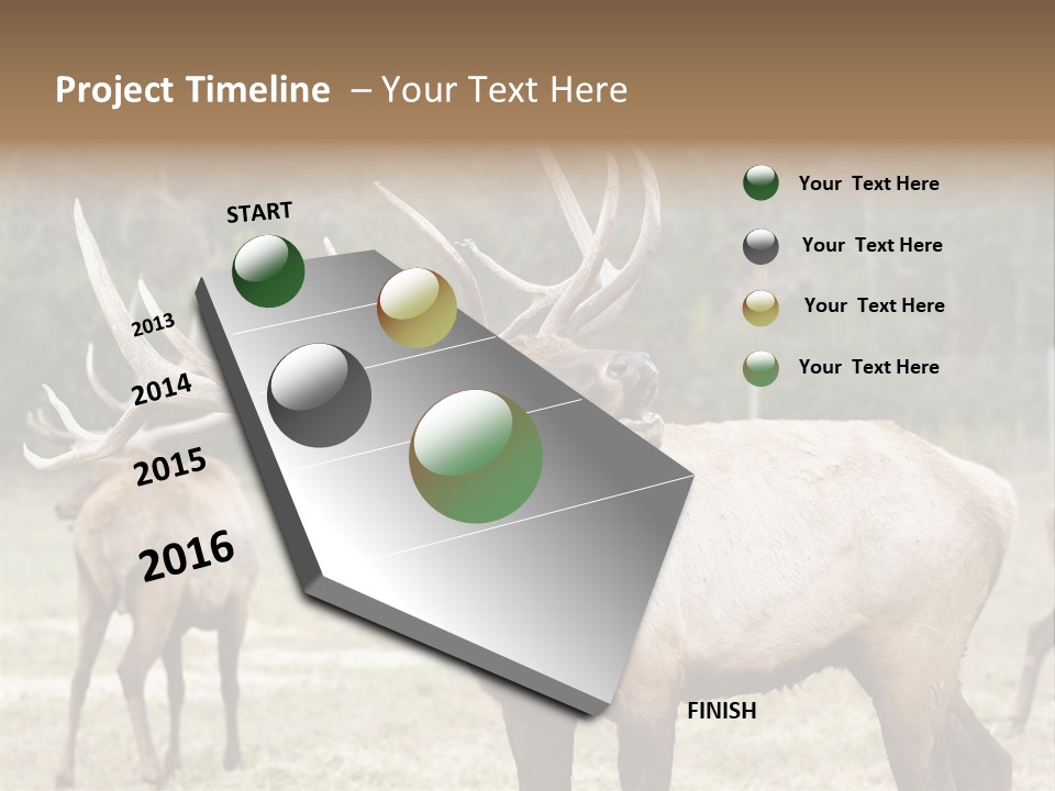 Caribou Elk Wapiti PowerPoint Template
