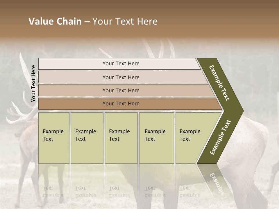 Caribou Elk Wapiti PowerPoint Template