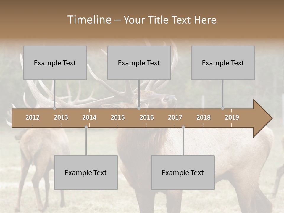 Caribou Elk Wapiti PowerPoint Template