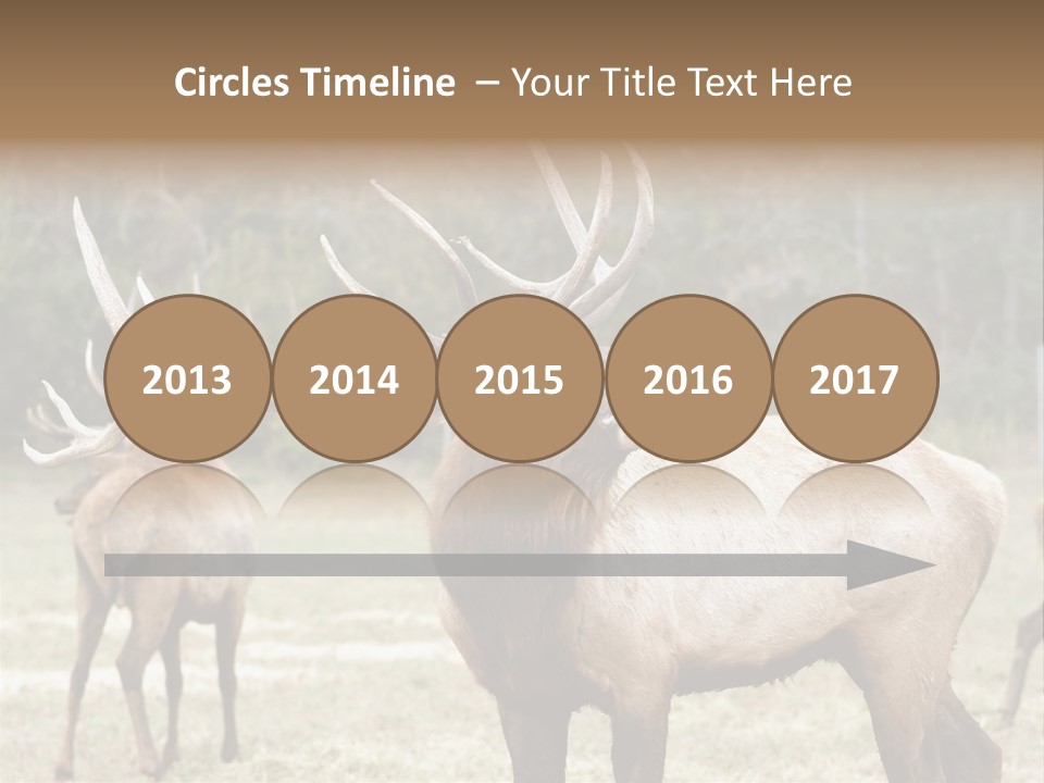Caribou Elk Wapiti PowerPoint Template