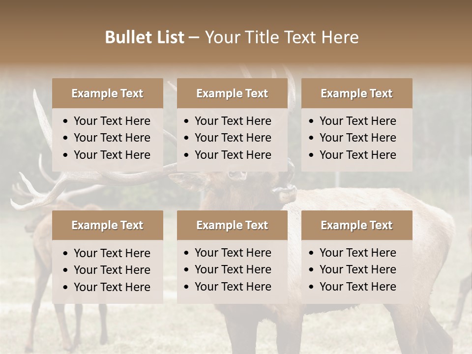 Caribou Elk Wapiti PowerPoint Template