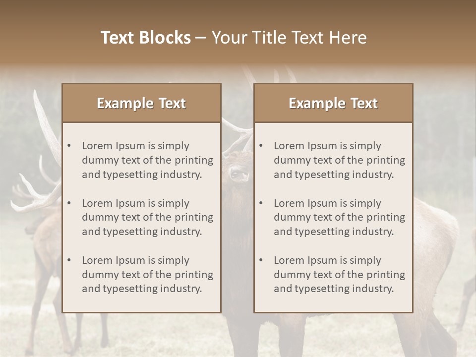 Caribou Elk Wapiti PowerPoint Template