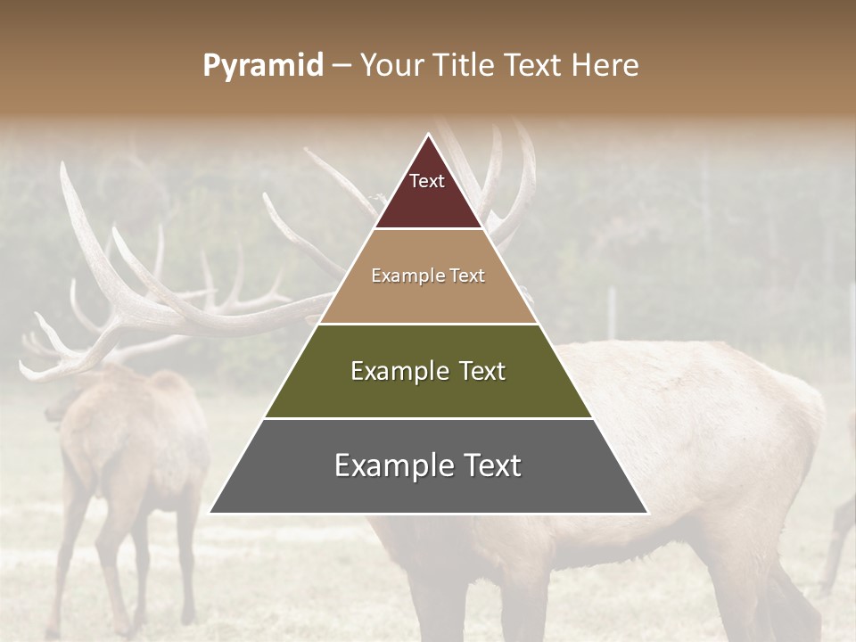 Caribou Elk Wapiti PowerPoint Template