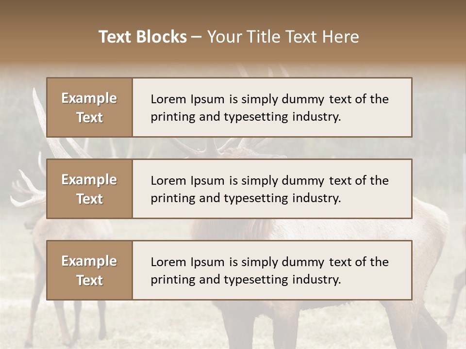 Caribou Elk Wapiti PowerPoint Template