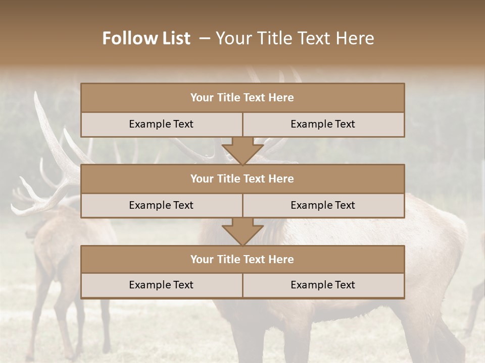 Caribou Elk Wapiti PowerPoint Template