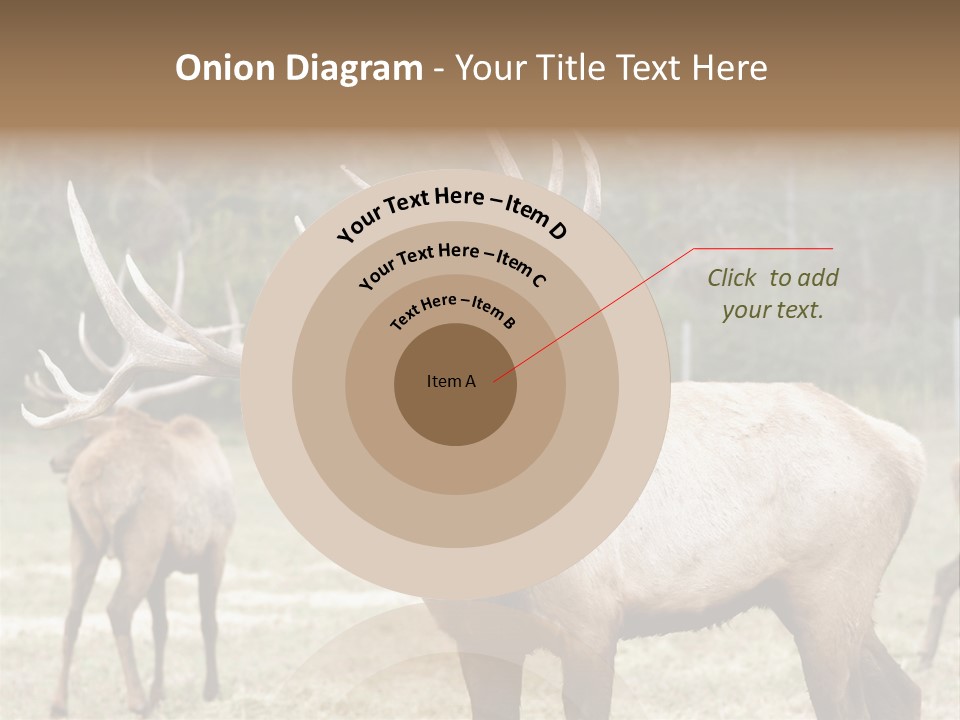Caribou Elk Wapiti PowerPoint Template