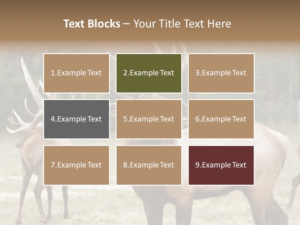 Caribou Elk Wapiti PowerPoint Template