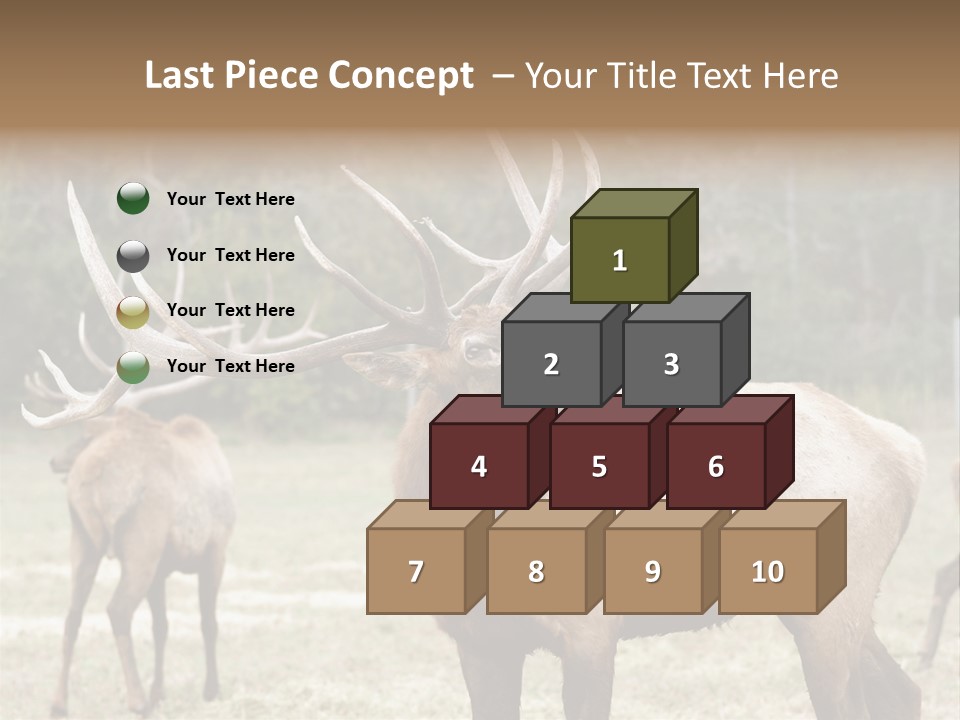 Caribou Elk Wapiti PowerPoint Template