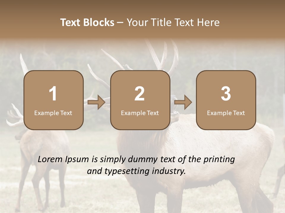 Caribou Elk Wapiti PowerPoint Template