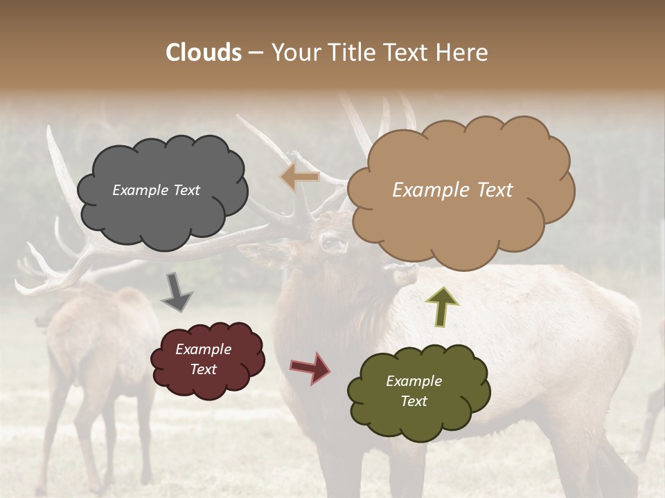 Caribou Elk Wapiti PowerPoint Template