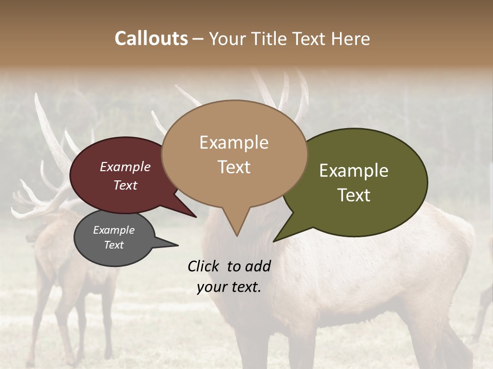 Caribou Elk Wapiti PowerPoint Template