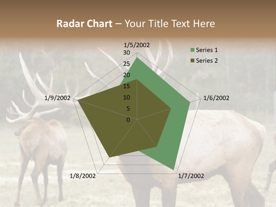 Caribou Elk Wapiti PowerPoint Template