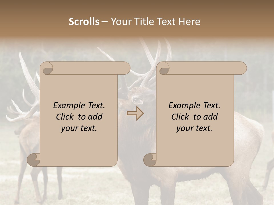 Caribou Elk Wapiti PowerPoint Template