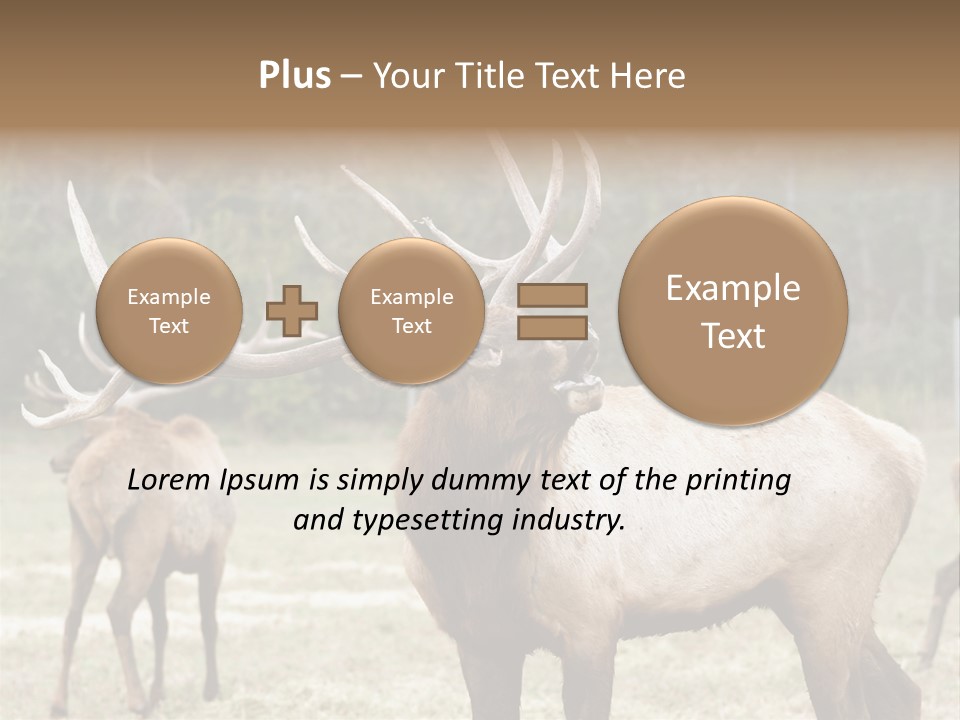 Caribou Elk Wapiti PowerPoint Template