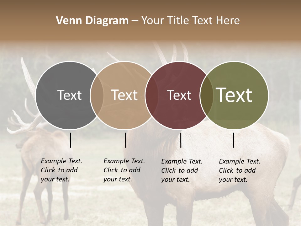 Caribou Elk Wapiti PowerPoint Template