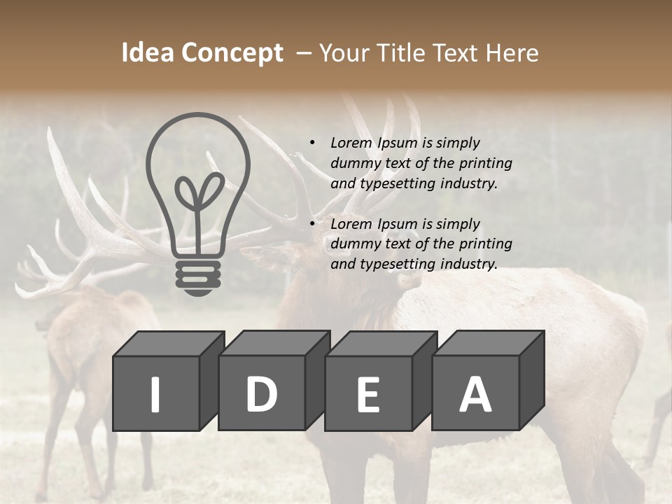 Caribou Elk Wapiti PowerPoint Template