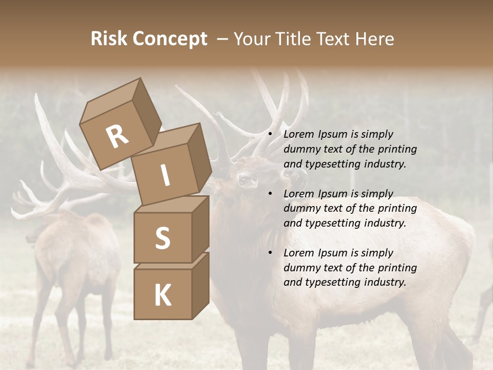 Caribou Elk Wapiti PowerPoint Template