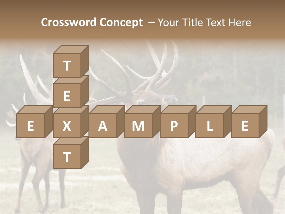 Caribou Elk Wapiti PowerPoint Template