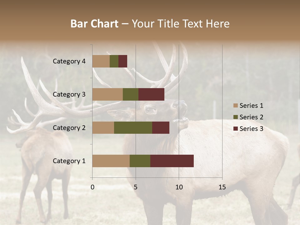 Caribou Elk Wapiti PowerPoint Template