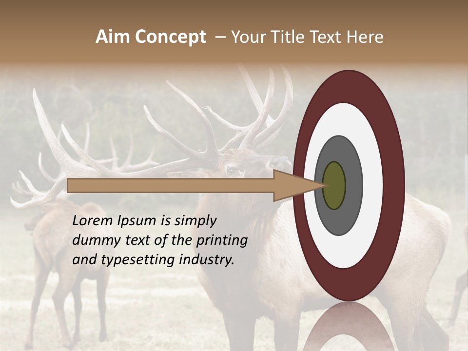 Caribou Elk Wapiti PowerPoint Template