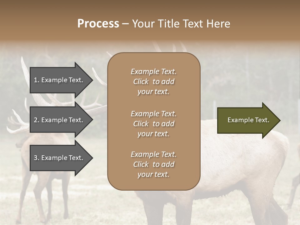 Caribou Elk Wapiti PowerPoint Template