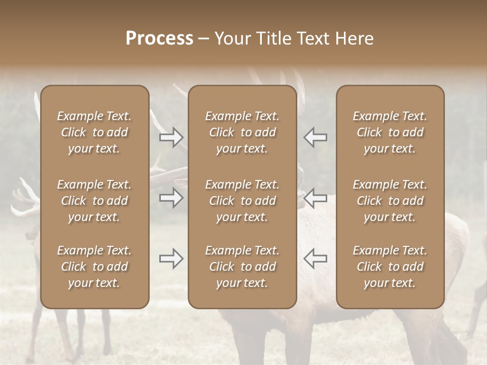 Caribou Elk Wapiti PowerPoint Template