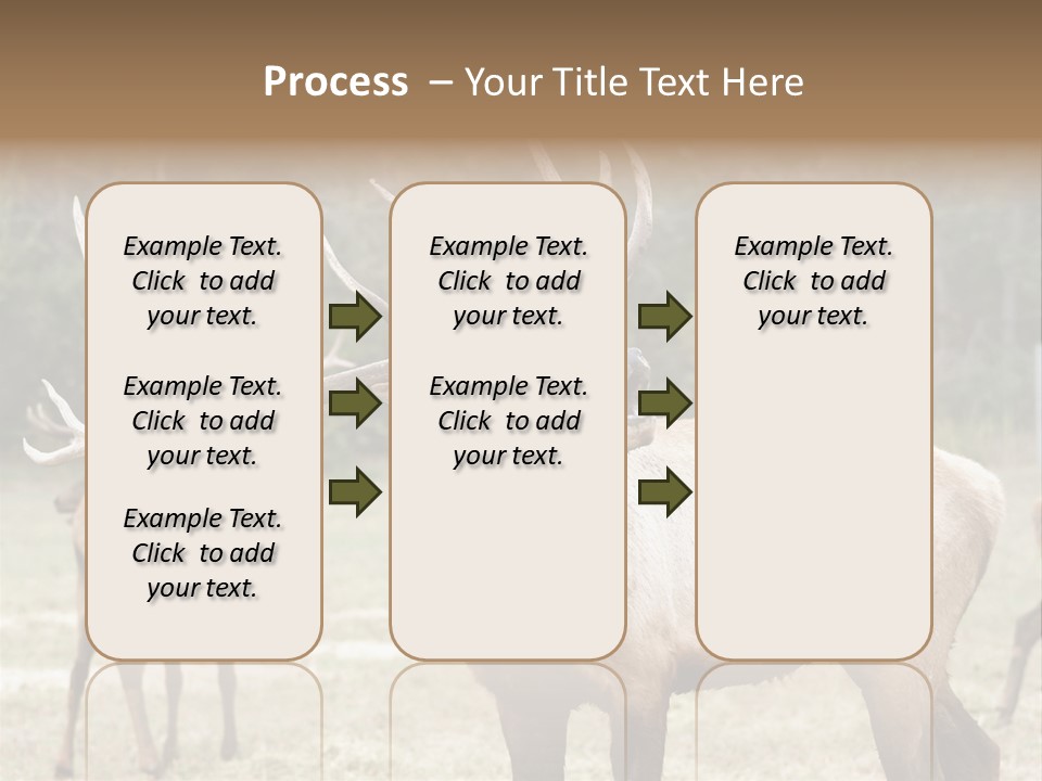 Caribou Elk Wapiti PowerPoint Template