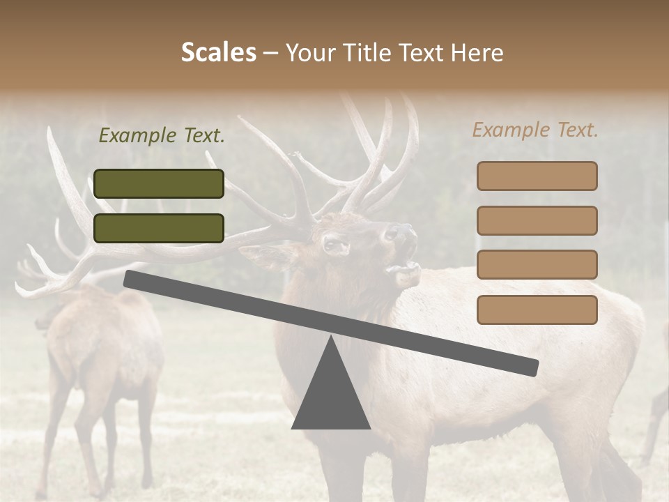 Caribou Elk Wapiti PowerPoint Template