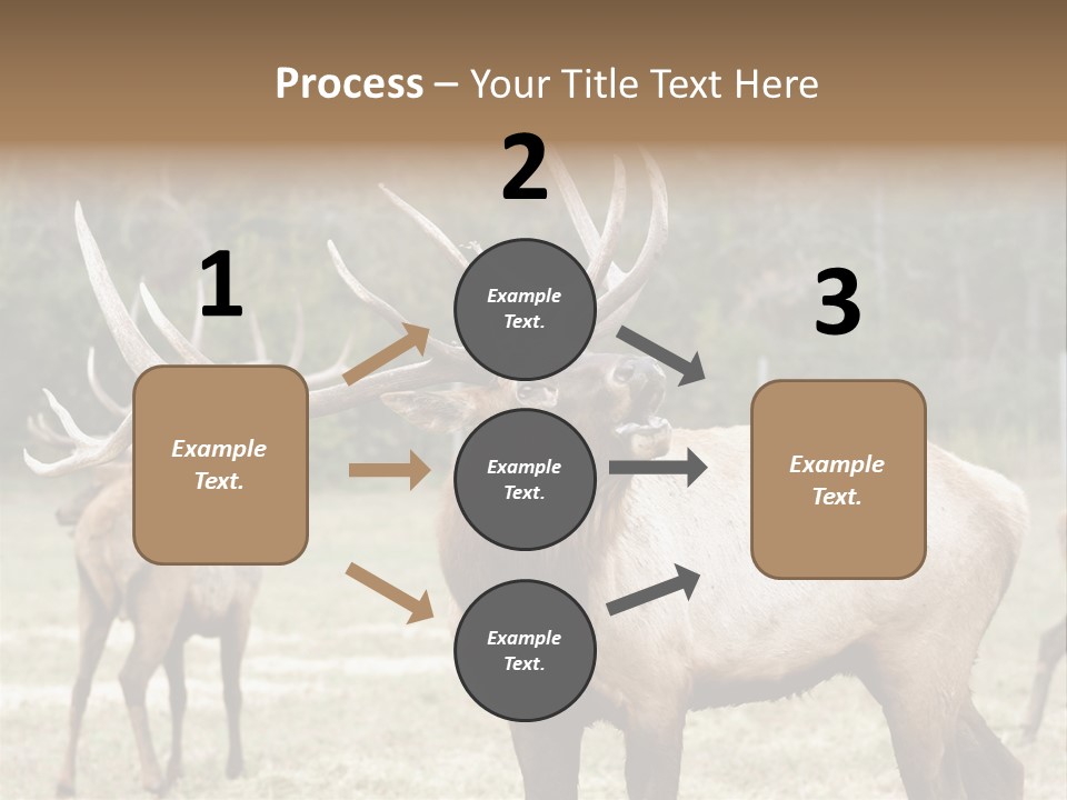 Caribou Elk Wapiti PowerPoint Template