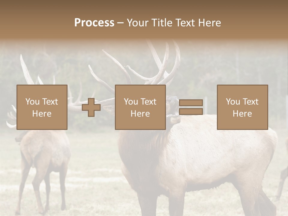 Caribou Elk Wapiti PowerPoint Template