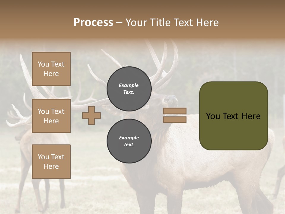 Caribou Elk Wapiti PowerPoint Template