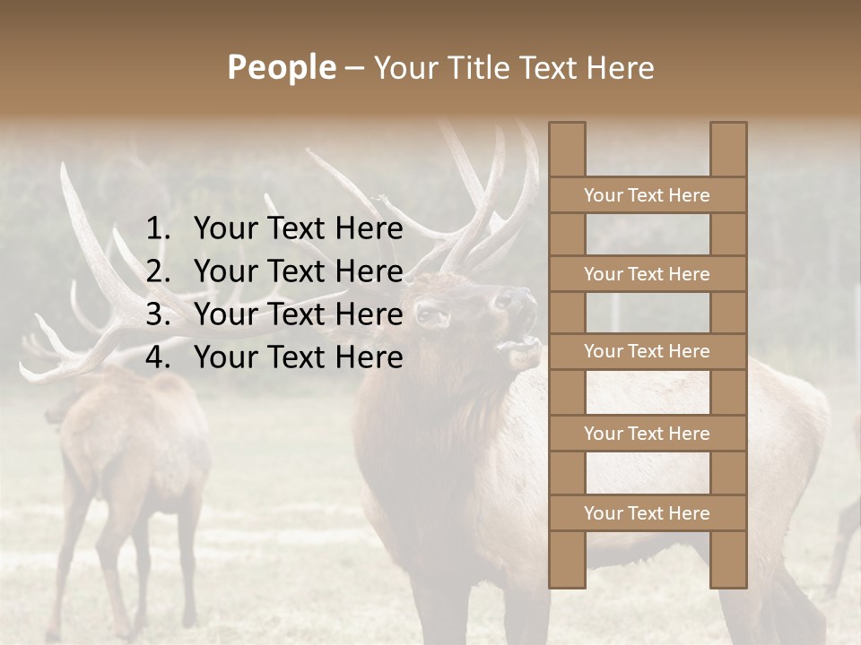 Caribou Elk Wapiti PowerPoint Template