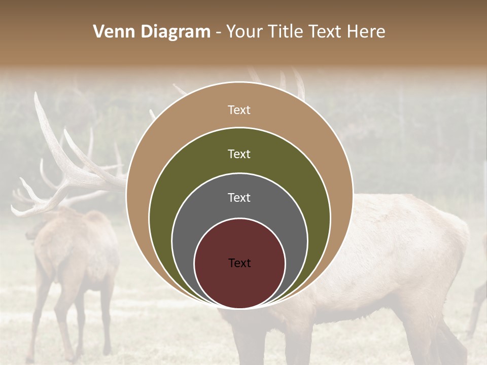 Caribou Elk Wapiti PowerPoint Template