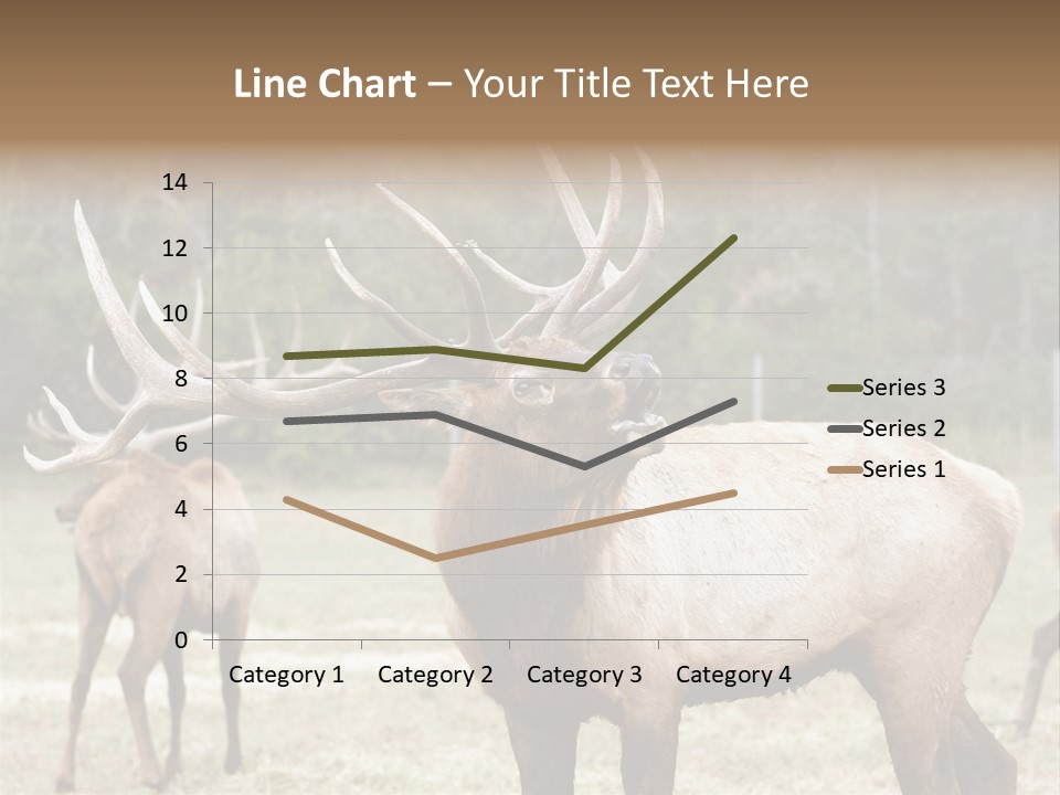 Caribou Elk Wapiti PowerPoint Template