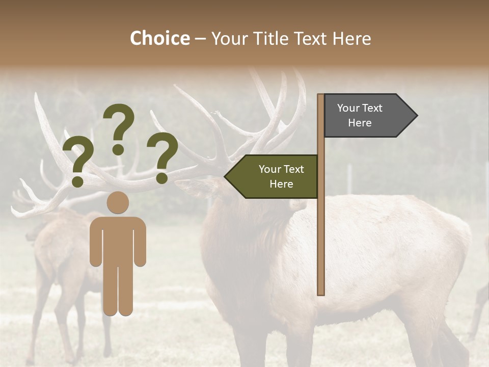 Caribou Elk Wapiti PowerPoint Template