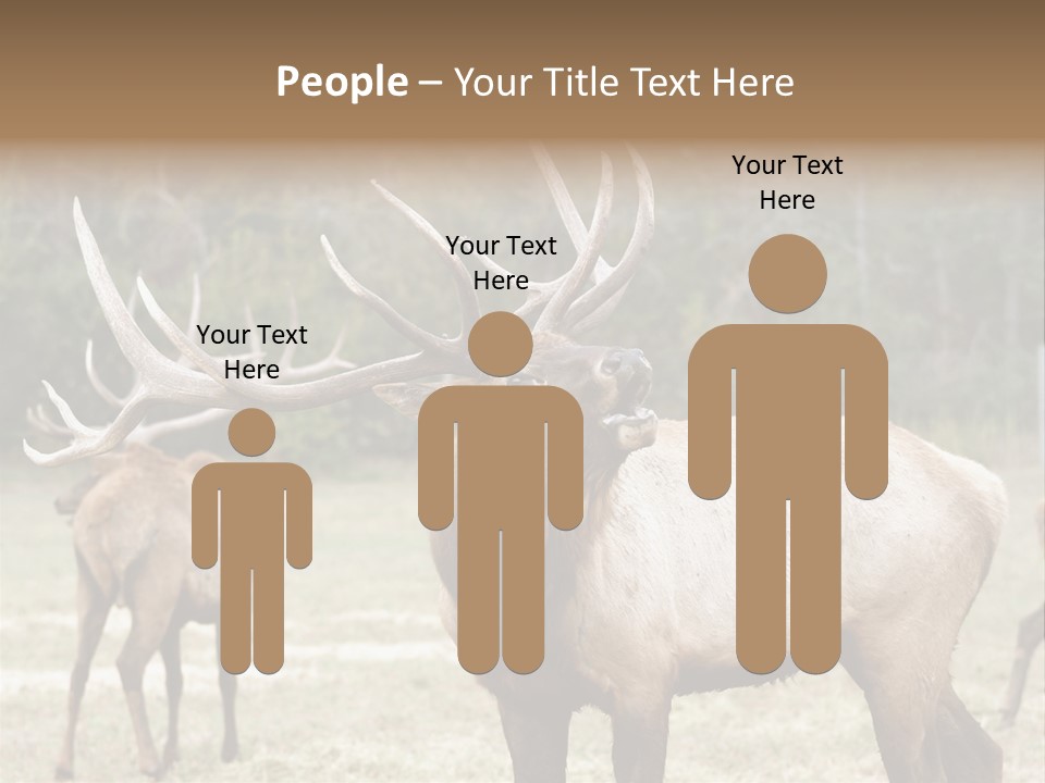 Caribou Elk Wapiti PowerPoint Template