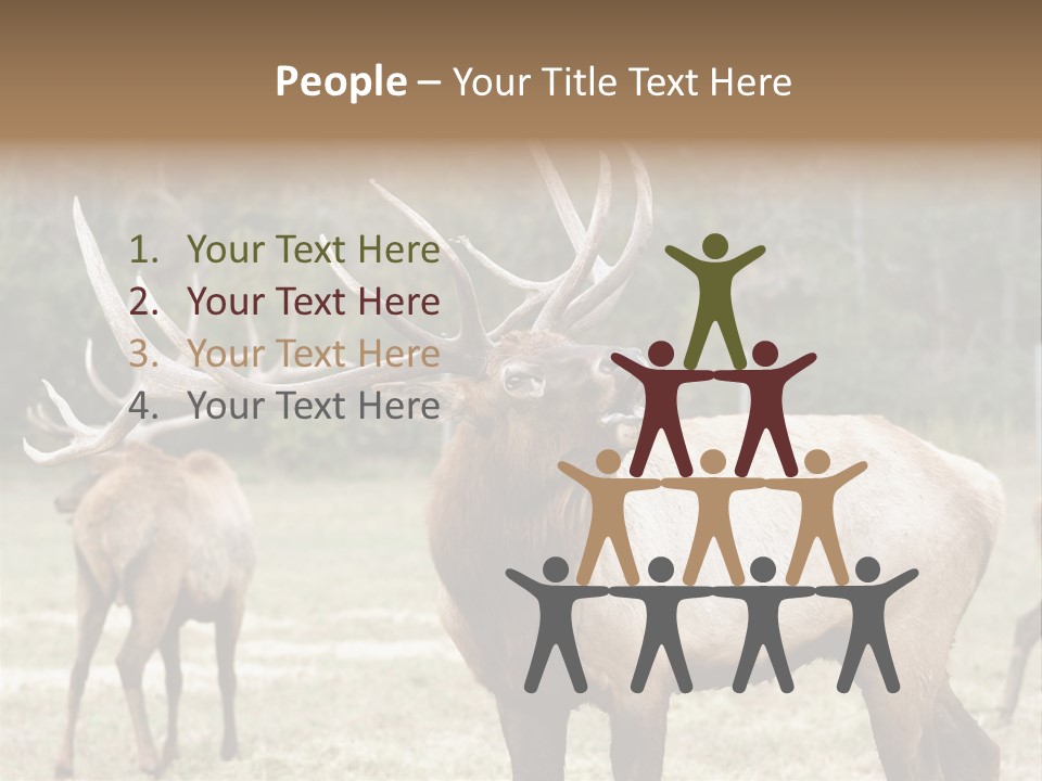 Caribou Elk Wapiti PowerPoint Template