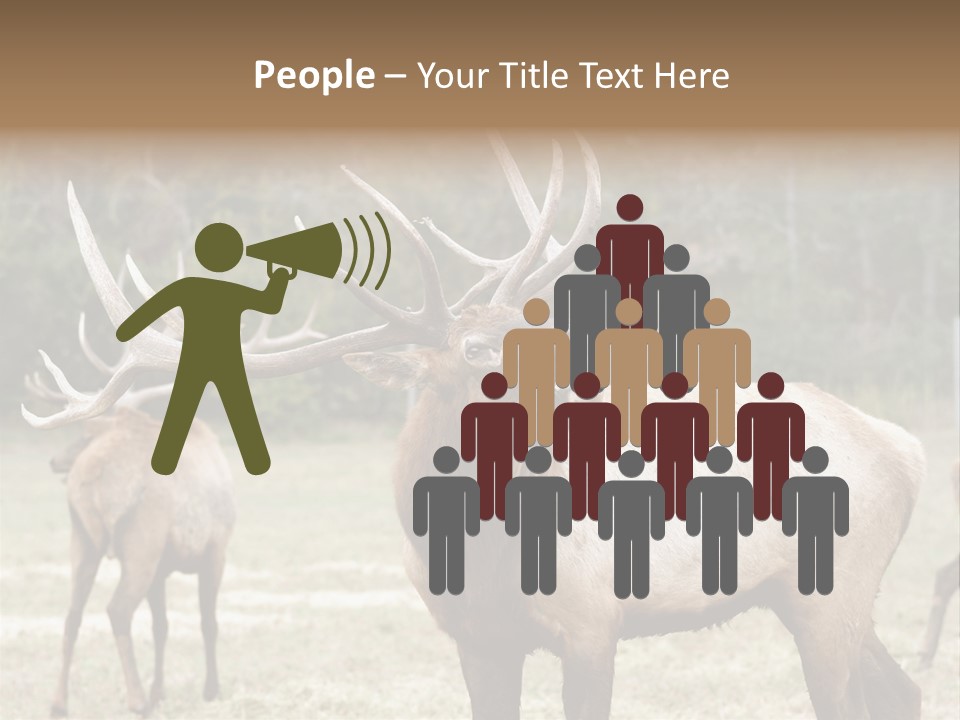 Caribou Elk Wapiti PowerPoint Template