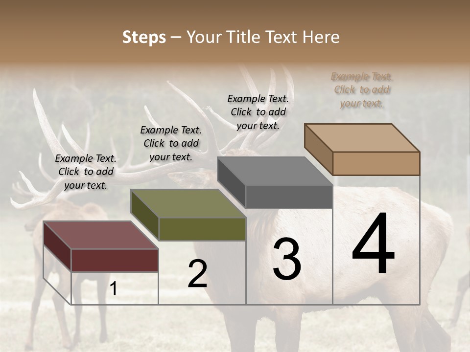 Caribou Elk Wapiti PowerPoint Template